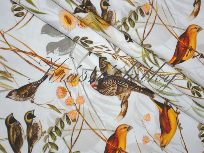 Ptáčci podzim - 95 % bavlna, 5 % elastan, š. 155 cm, 240 g/m2