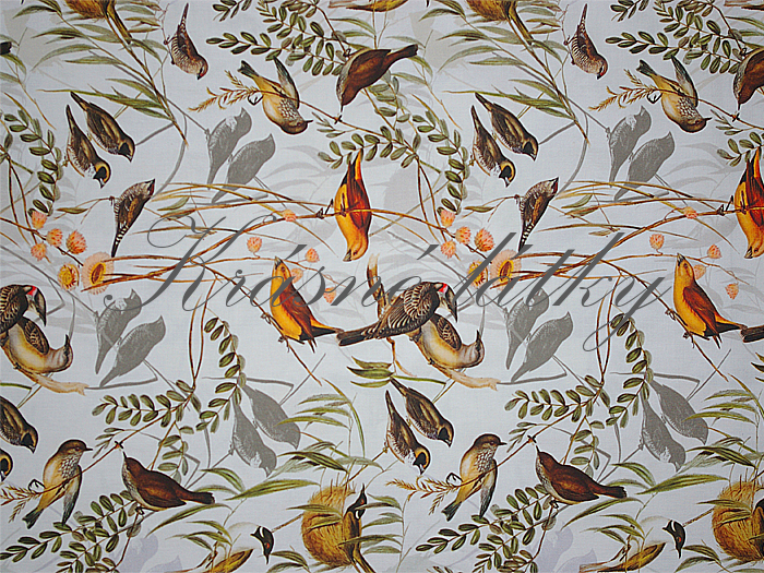 Ptáčci podzim - 95 % bavlna, 5 % elastan, š. 155 cm, 240 g/m2