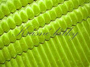 10 m Minky, krásná měkká látka světle zelená pruhy