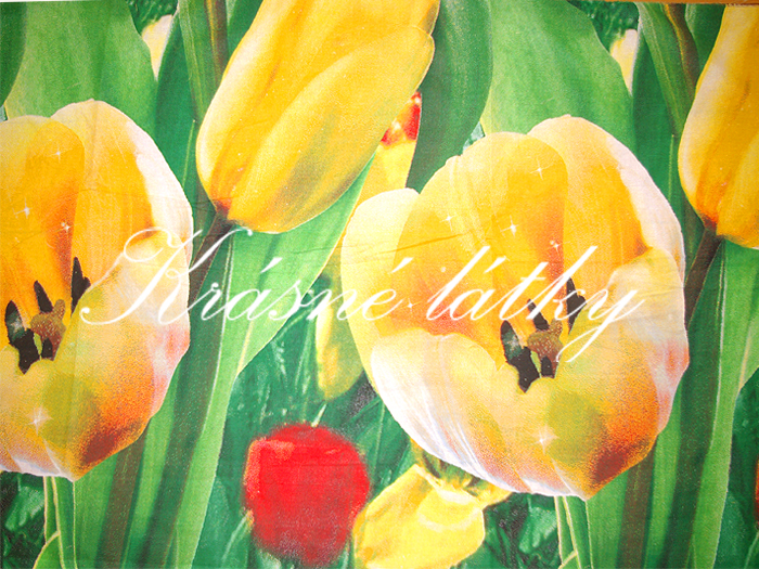 Tulipán - š. 70cm, 100% bavlna