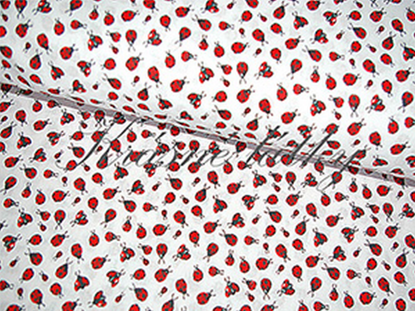 Berušky - 100% bavlna, š. 140 cm, 130 g/m2