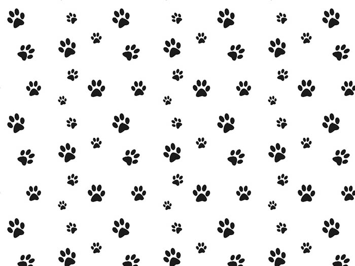 Bavlna černé tlapky, dětské látky metráž