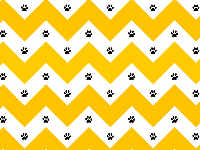 Bavlna žluto černý cik cak chevron s tlapkami, dětské látky metráž