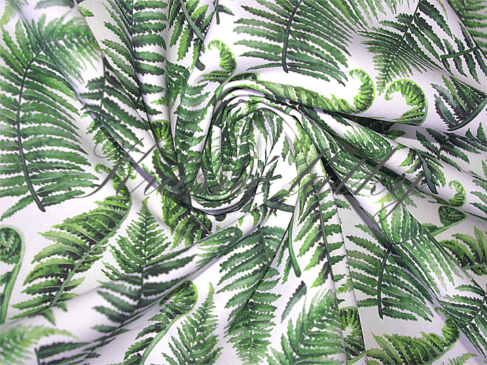 Kapradí - 100% bavlna, š. 160 cm, 150 g/m2, plátno