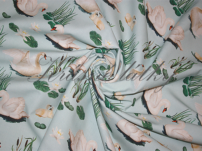 Labutě - 100% bavlna, š. 160 cm, 150 g/m2