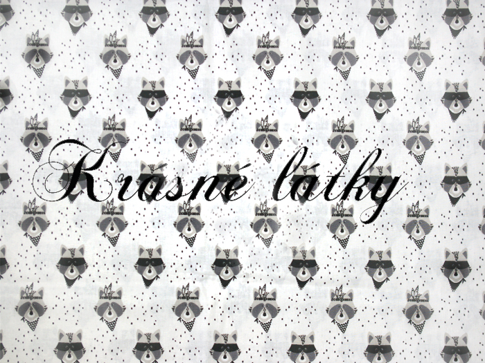 Indiáni - 100 % bavlna, š. 150 cm, sněhově bílý podklad