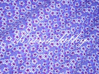 Kytičky - flanel š. 150 cm, 170 g/m2